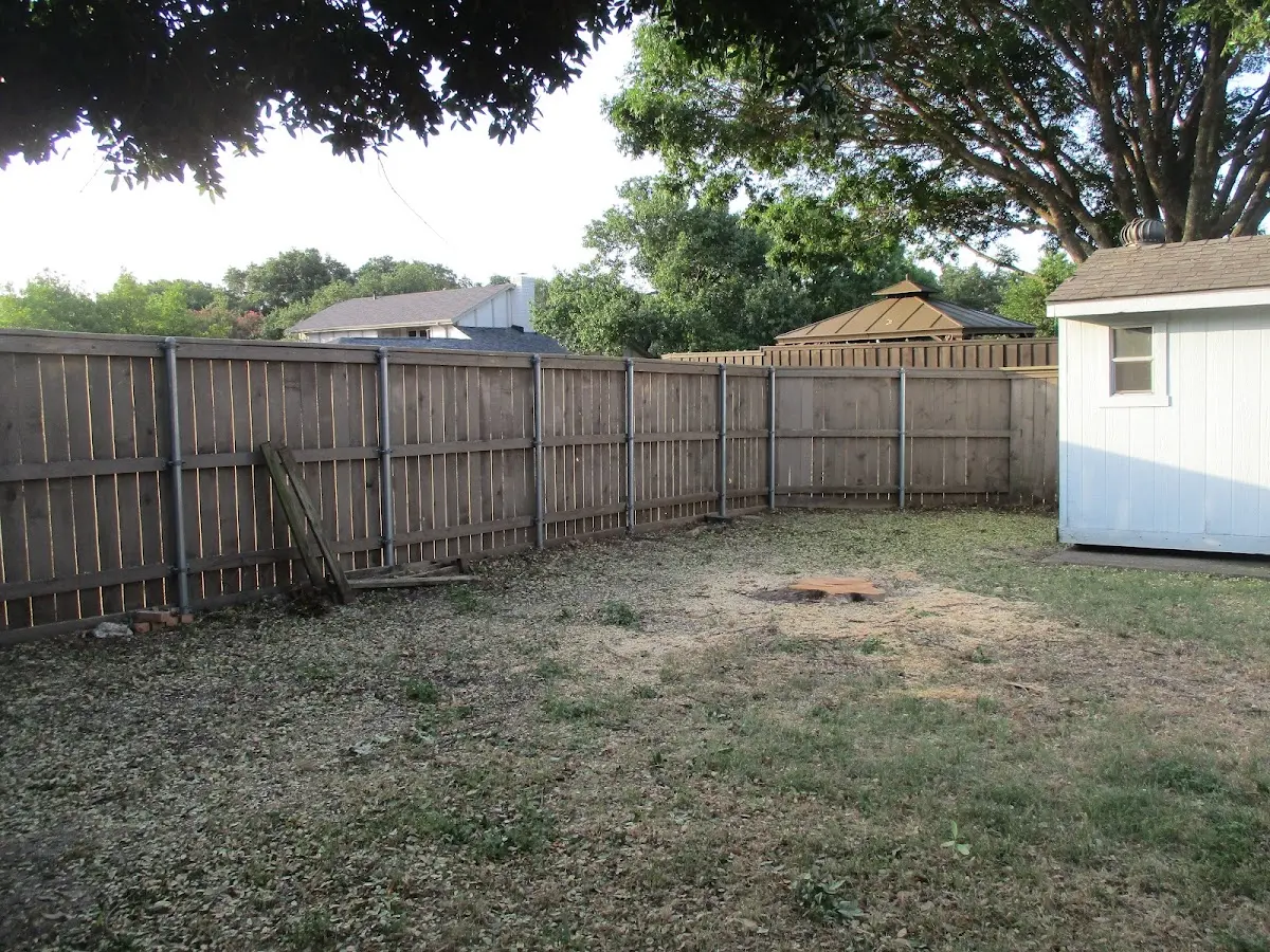 Cleared yard after professional tree removal in Piedmont